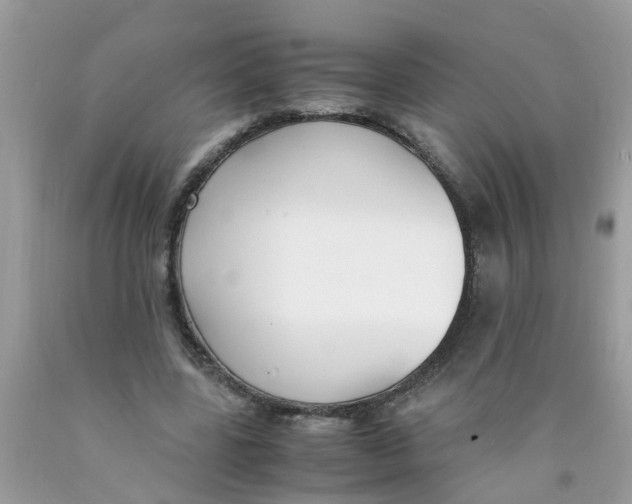 X0000089890539200707262232