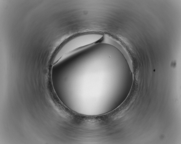 X0000089890540200707262232