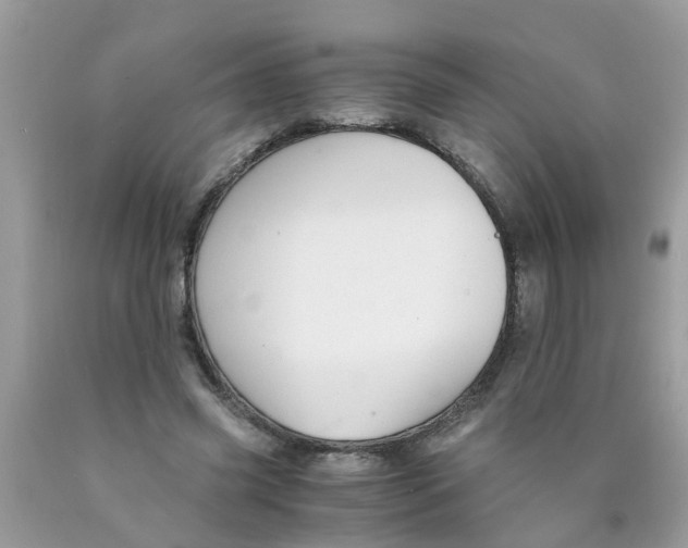 X0000089890541200707262232