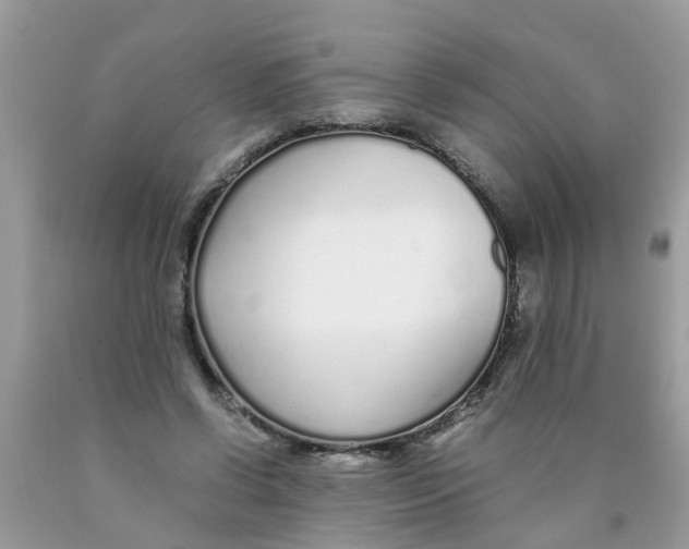 X0000089890542200707262232