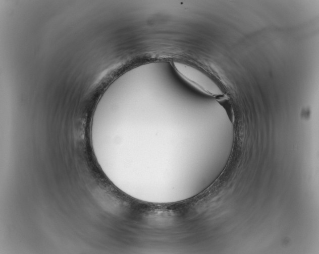 X0000089890543200707262232