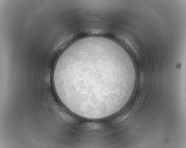 X0000089890545200707262232