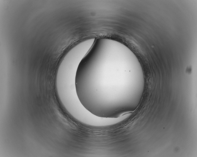 X0000089890546200707262232