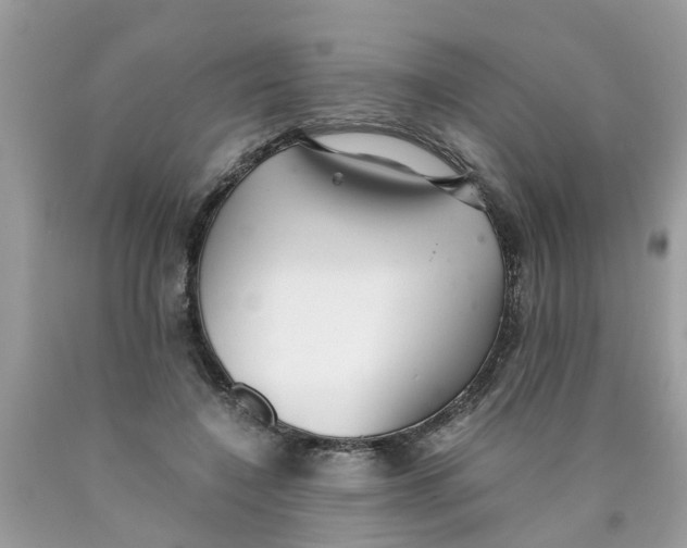 X0000089890548200707262232