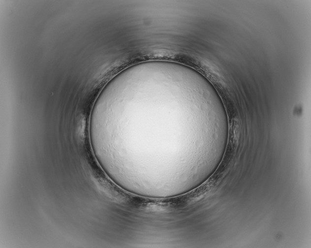 X0000089890550200707262232