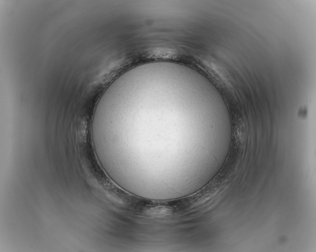 X0000089890551200707262232
