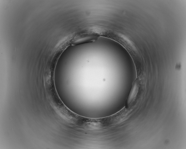 X0000089890552200707262232