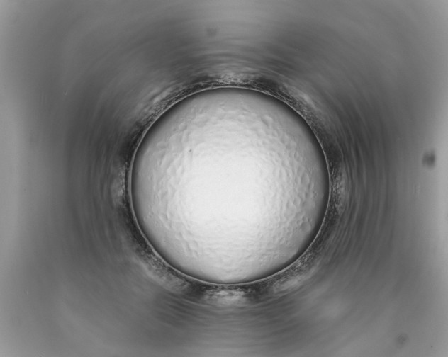 X0000089890554200707262232
