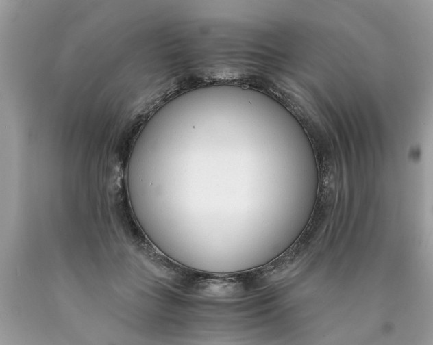 X0000089890555200707262232