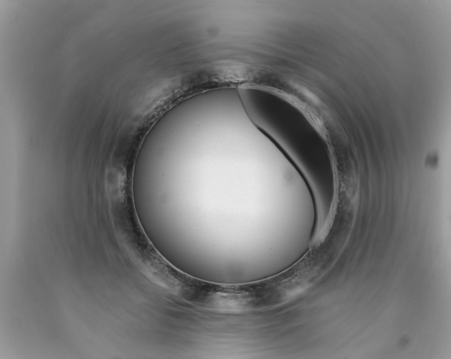 X0000089890556200707262232