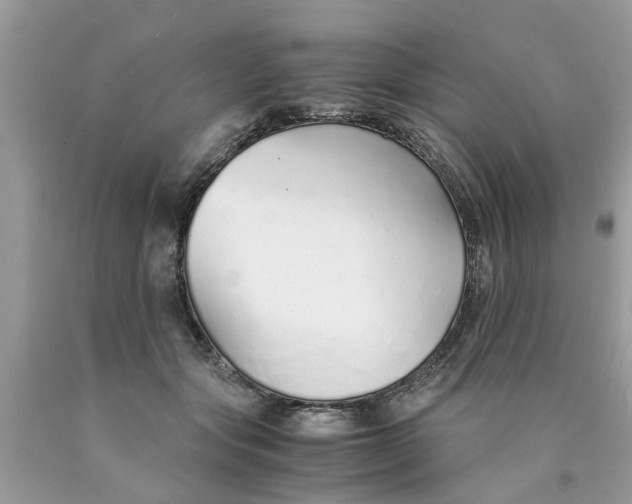 X0000089890557200707262232