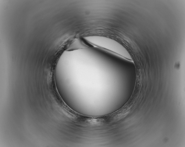 X0000089890558200707262232