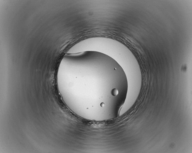X0000089890560200707262232