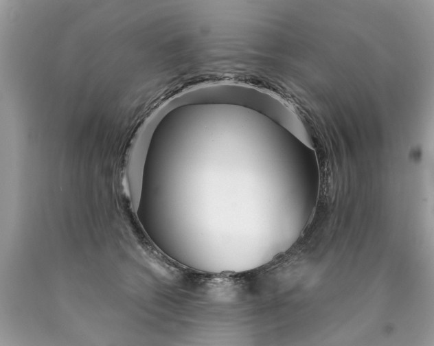 X0000089890562200707262232