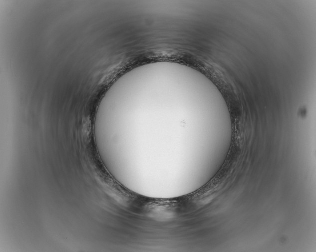 X0000089890563200707262232