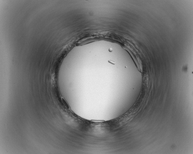 X0000089890564200707262232
