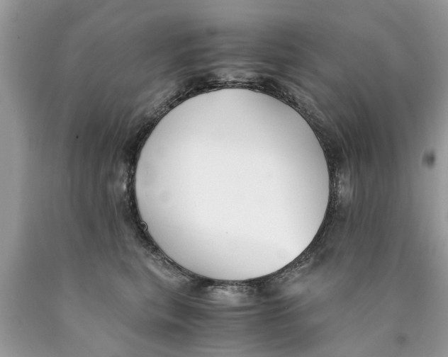 X0000089890567200707262232