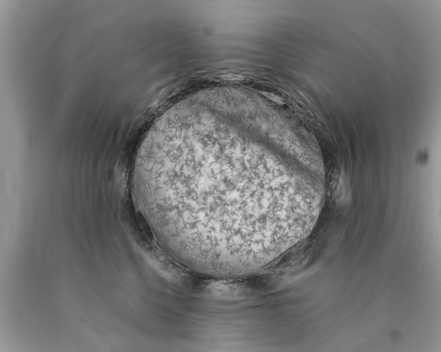 X0000089890568200707262232