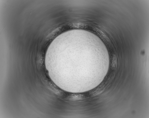 X0000089890569200707262232