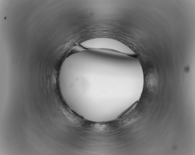 X0000089890570200707262232