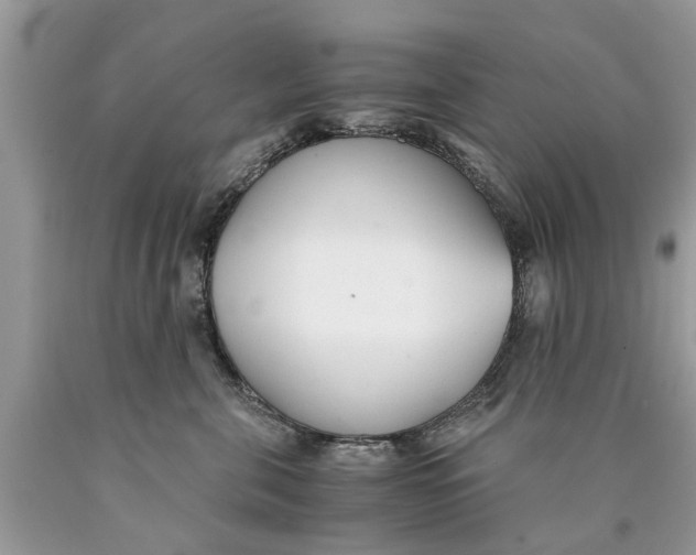X0000089890571200707262232