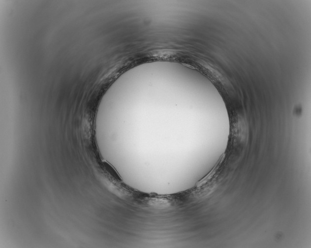 X0000089890572200707262232