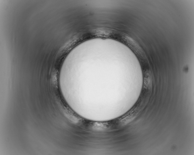 X0000089890573200707262232
