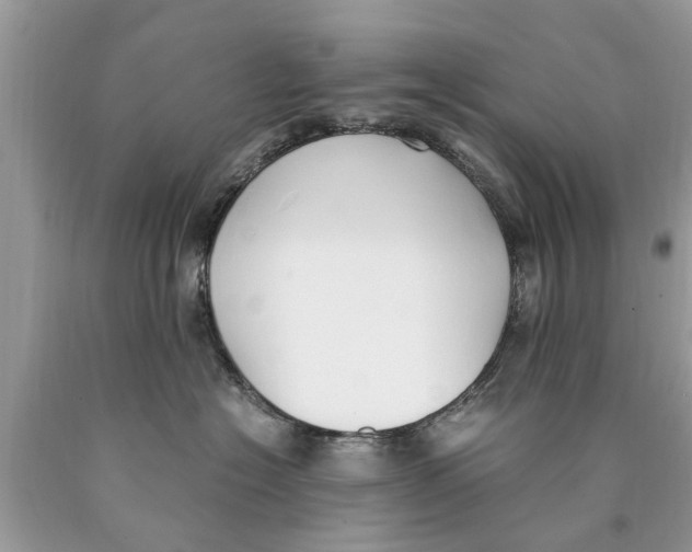 X0000089890574200707262232