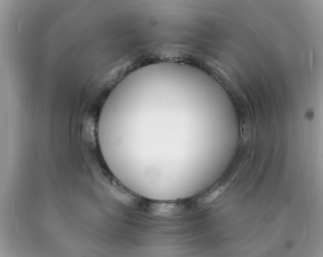 X0000089890575200707262232