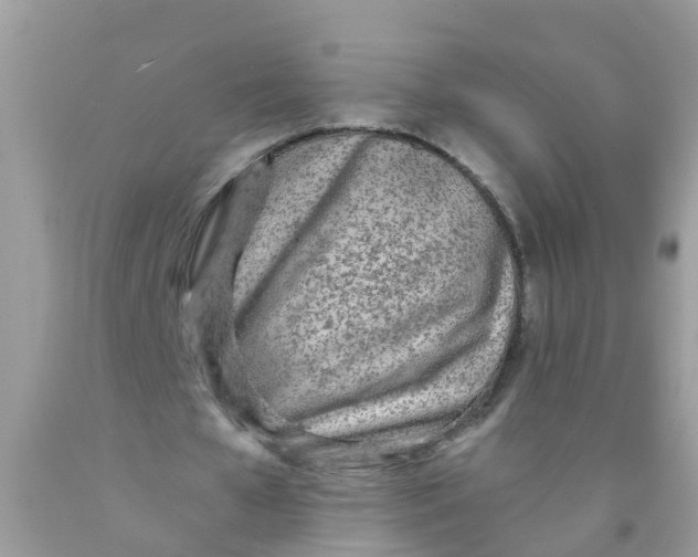 X0000089890577200707262232
