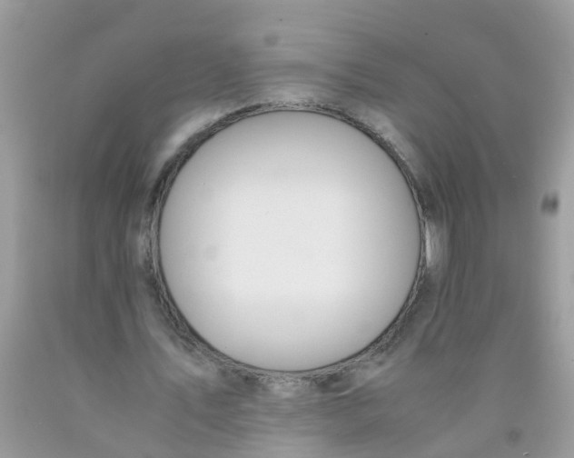 X0000089890579200707262232