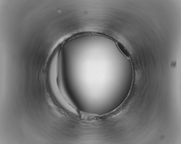 X0000089890580200707262232