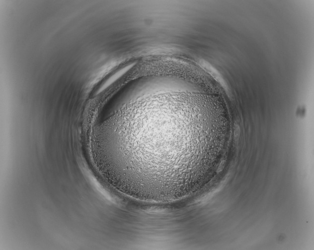 X0000089890581200707262232