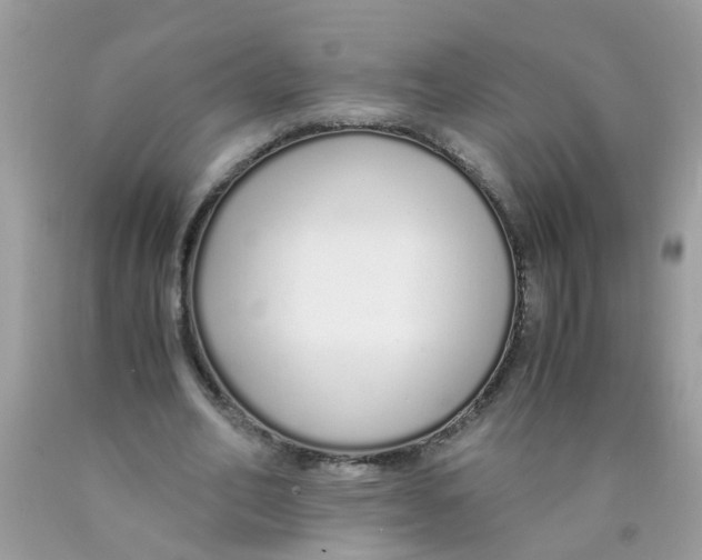 X0000089890582200707262232