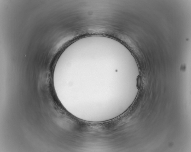 X0000089890583200707262232