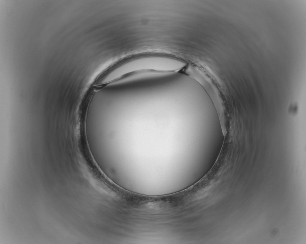 X0000089890584200707262232