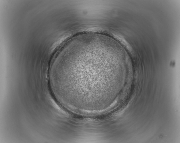 X0000089890585200707262232
