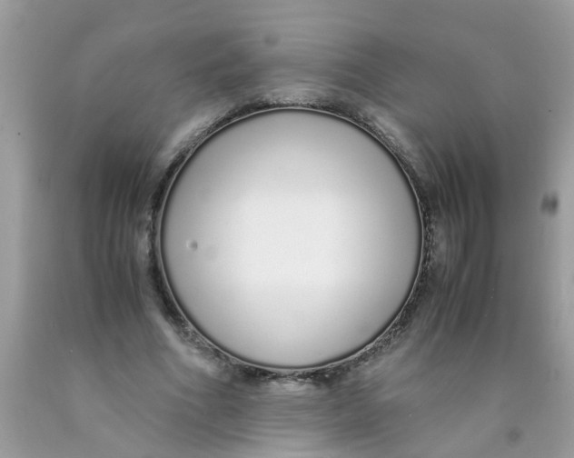 X0000089890586200707262232