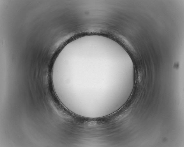 X0000089890588200707262232