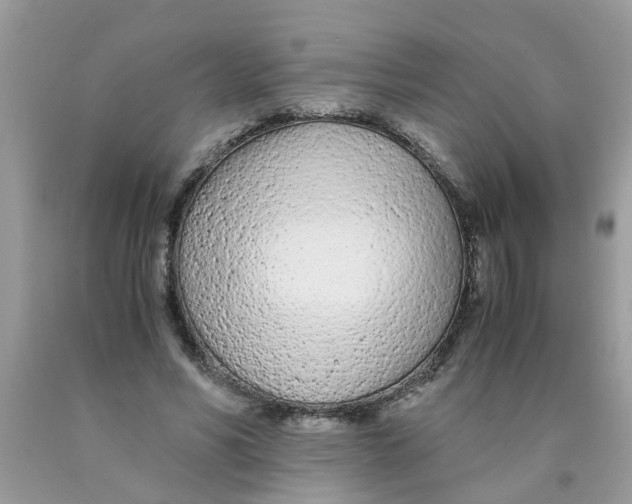 X0000089890590200707262232