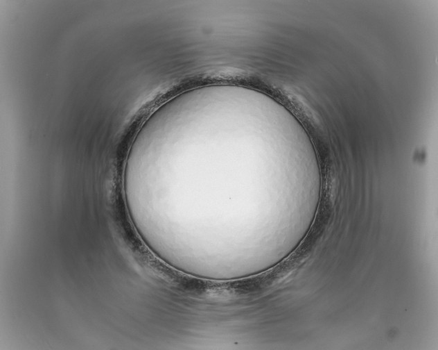 X0000089890591200707262232