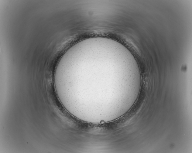 X0000089890593200707262231