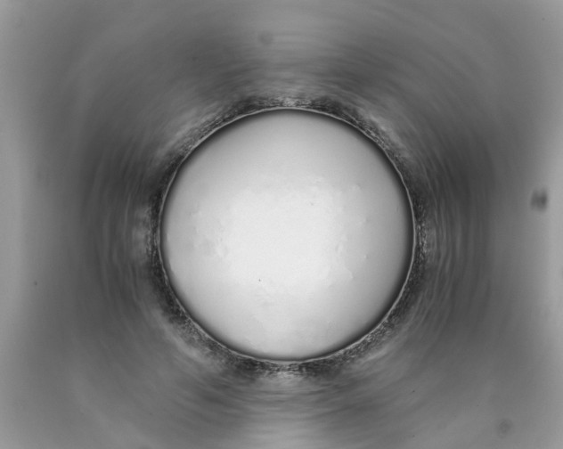 X0000089890594200707262231