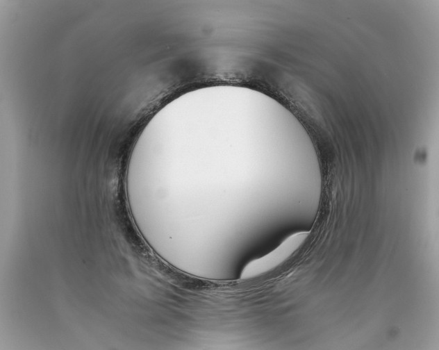X0000089890595200707262231