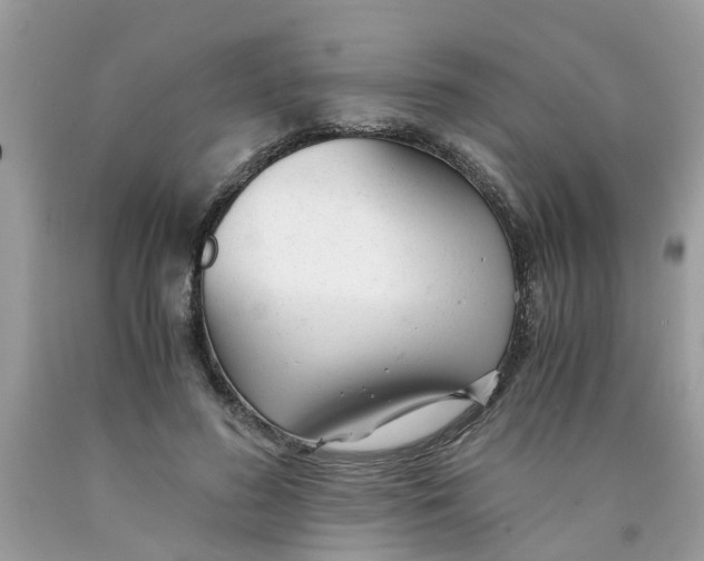 X0000089890596200707262231