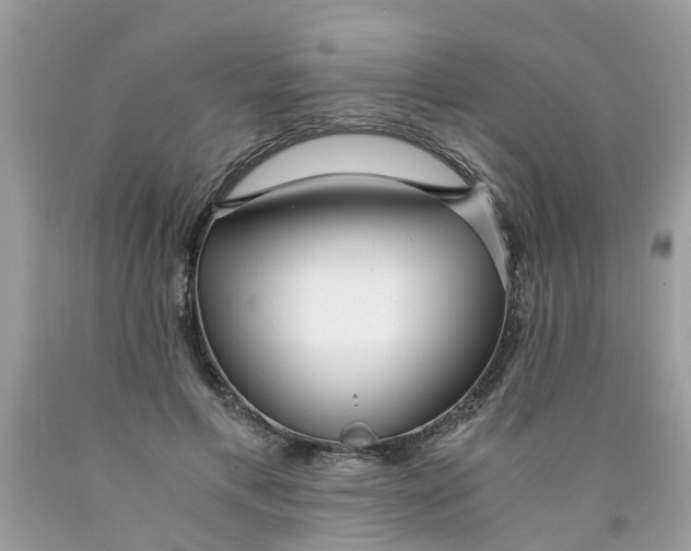 X0000089890597200707262231