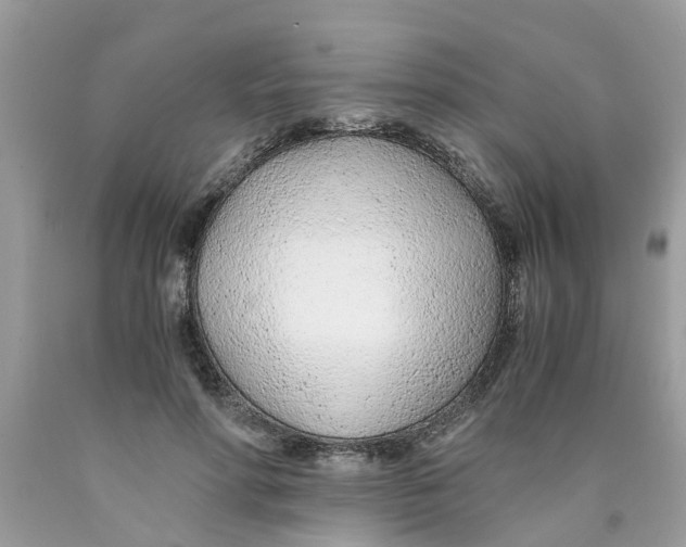 X0000089890598200707262231
