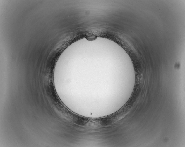 X0000089890599200707262231