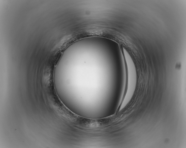 X0000089890600200707262231