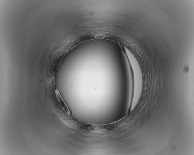 X0000089890601200707262231